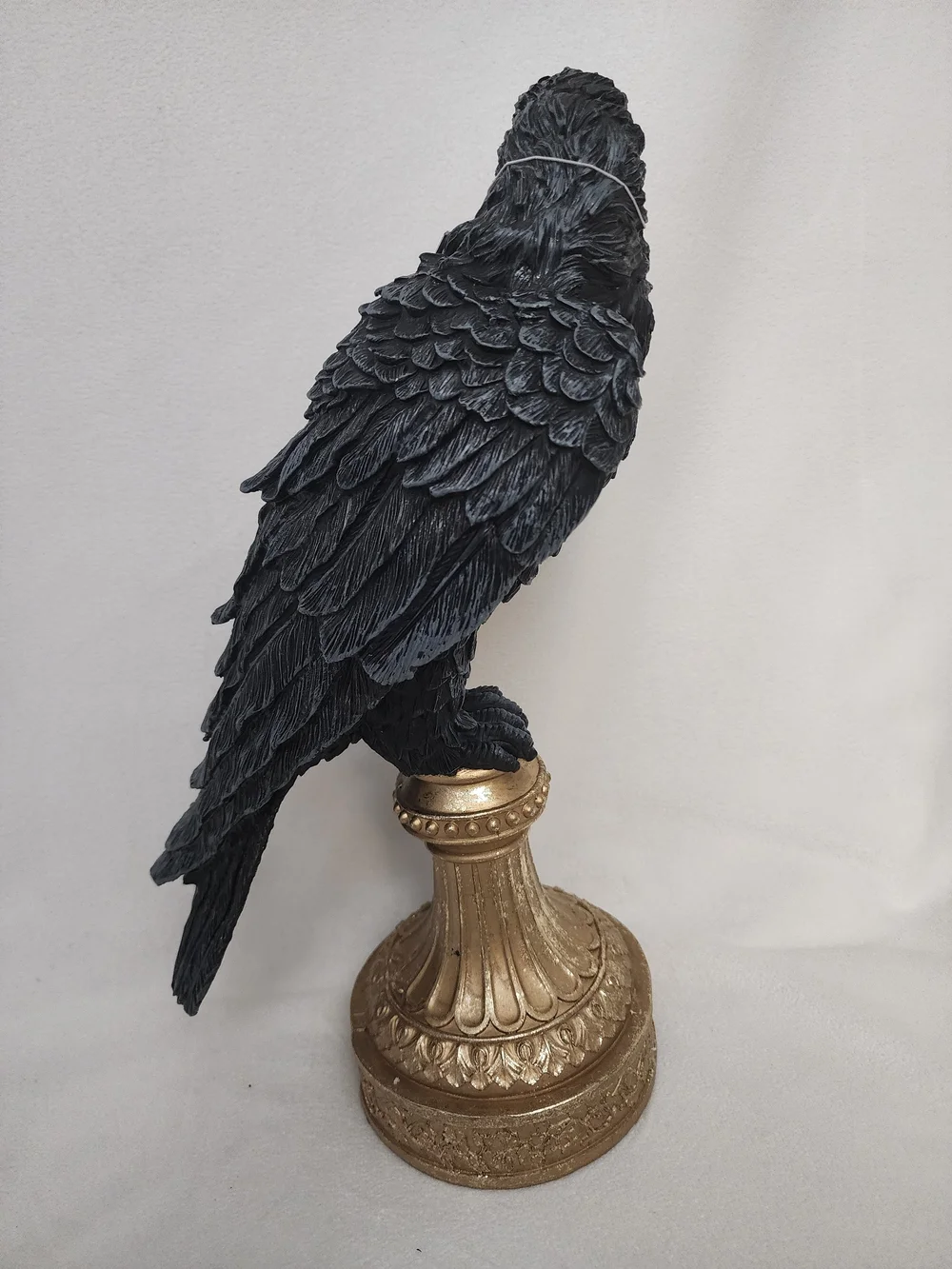 N/A elegant black